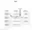 Fig. 08 - Method of reporting an aggregated measurement in wireless communication system