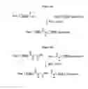 Fig. 07 - Methods, Compositions And Libraries Pertaining To PNA Dimer And PNA Oligomer Synthesis