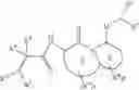 Fig. 02 - Tetrapeptide analogs