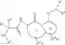 Fig. 08 - Tetrapeptide analogs