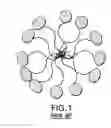 Fig. 02 - BIOMIMETIC PARTICLES AND FILMS FOR PATHOGEN CAPTURE AND OTHER USES