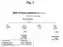 Fig. 02 - Composition for treating atopic dermatitis comprising hirsutanonol or oregonin as an active ingredient