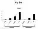 Fig. 30 - Composition for treating atopic dermatitis comprising hirsutanonol or oregonin as an active ingredient