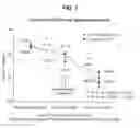 Fig. 02 - METHODS FOR TREATING ACUTE MYOCARDIAL INFARCTIONS AND ASSOCIATED DISORDERS