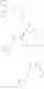 Fig. 16 - Amino-heterocyclic compounds