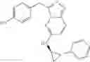 Fig. 216 - Inhibitors of c-Met and uses thereof