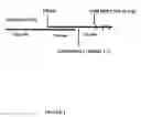 Fig. 02 - Sigma receptor inhibitors