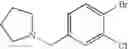 Fig. 131 - Piperidine/piperazine derivatives