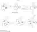 Fig. 11 - SPIROINDOLINONE DERIVATIVE PRODRUGS