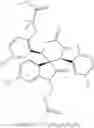 Fig. 29 - SPIROINDOLINONE DERIVATIVE PRODRUGS