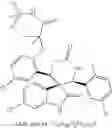 Fig. 33 - SPIROINDOLINONE DERIVATIVE PRODRUGS
