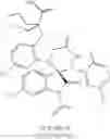 Fig. 66 - SPIROINDOLINONE DERIVATIVE PRODRUGS