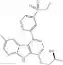 Fig. 327 - Kinase inhibitors