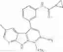 Fig. 335 - Kinase inhibitors