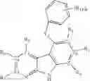 Fig. 368 - Kinase inhibitors