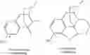 Fig. 03 - LARGE SUBSTITUENT, NON-PHENOLIC AMINE OPIOIDS