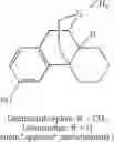 Fig. 39 - LARGE SUBSTITUENT, NON-PHENOLIC AMINE OPIOIDS