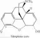 Fig. 46 - LARGE SUBSTITUENT, NON-PHENOLIC AMINE OPIOIDS