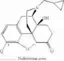Fig. 47 - LARGE SUBSTITUENT, NON-PHENOLIC AMINE OPIOIDS