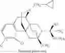 Fig. 49 - LARGE SUBSTITUENT, NON-PHENOLIC AMINE OPIOIDS