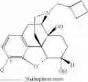Fig. 50 - LARGE SUBSTITUENT, NON-PHENOLIC AMINE OPIOIDS