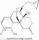Fig. 52 - LARGE SUBSTITUENT, NON-PHENOLIC AMINE OPIOIDS