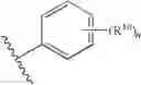 Fig. 18 - α-7 nicotinic acetylcholine receptor allosteric modulators, their derivatives and uses thereof