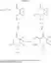 Fig. 09 - Novel Substituted Piperidones as HSP Inducers