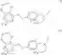 Fig. 06 - GPR120 receptor agonists and uses thereof