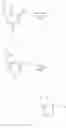 Fig. 84 - GPR120 receptor agonists and uses thereof