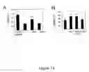 Fig. 15 - Tricyclic necrostatin compounds