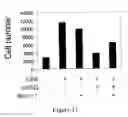 Fig. 22 - Tricyclic necrostatin compounds