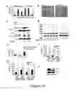 Fig. 29 - Tricyclic necrostatin compounds
