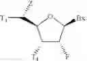 Fig. 06 - 5'-Substituted-2-F' Modified Nucleosides and Oligomeric Compounds Prepared Therefrom