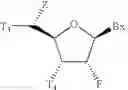 Fig. 12 - 5'-Substituted-2-F' Modified Nucleosides and Oligomeric Compounds Prepared Therefrom
