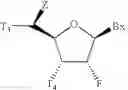 Fig. 13 - 5'-Substituted-2-F' Modified Nucleosides and Oligomeric Compounds Prepared Therefrom