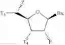 Fig. 19 - 5'-Substituted-2-F' Modified Nucleosides and Oligomeric Compounds Prepared Therefrom