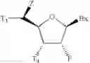 Fig. 20 - 5'-Substituted-2-F' Modified Nucleosides and Oligomeric Compounds Prepared Therefrom