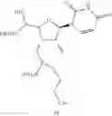 Fig. 23 - 5'-Substituted-2-F' Modified Nucleosides and Oligomeric Compounds Prepared Therefrom