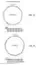Fig. 04 - Telomere-encoding synthetic DNA nanocircles, and their use for the elongation of telomere repeats