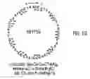 Fig. 05 - Telomere-encoding synthetic DNA nanocircles, and their use for the elongation of telomere repeats