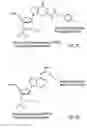 Fig. 07 - Telomere-encoding synthetic DNA nanocircles, and their use for the elongation of telomere repeats