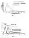 Fig. 10 - Telomere-encoding synthetic DNA nanocircles, and their use for the elongation of telomere repeats