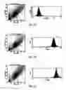 Fig. 11 - Telomere-encoding synthetic DNA nanocircles, and their use for the elongation of telomere repeats