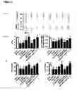 Fig. 06 - Tissue specific gene therapy treatment