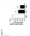 Fig. 13 - Tissue specific gene therapy treatment
