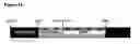 Fig. 15 - Tissue specific gene therapy treatment
