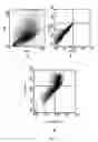 Fig. 08 - Water-soluble binuclear nitrosyl iron complexes with natural aliphatic thiolyls possessing cytotoxic, apoptotic and no-donor activity