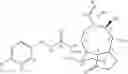 Fig. 07 - Organic compounds