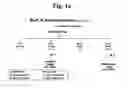 Fig. 02 - Composition for treating atopic dermatitis comprising hirsutenone as an active ingredient